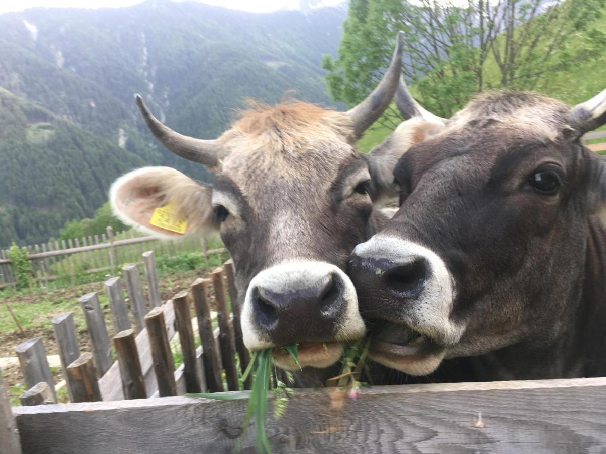 Knappnhof Campo di Trens Bagian luar foto