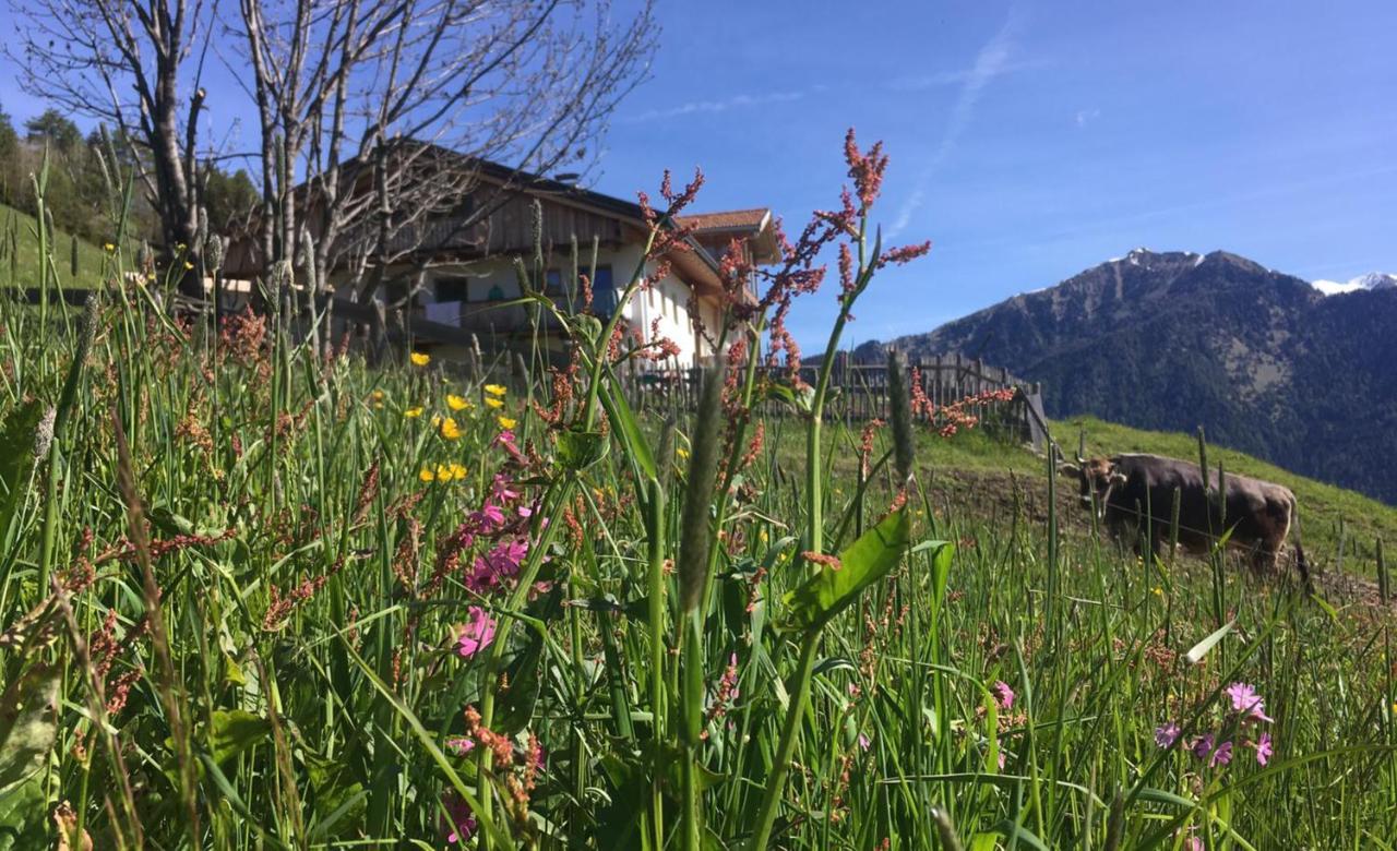 Knappnhof Campo di Trens Bagian luar foto